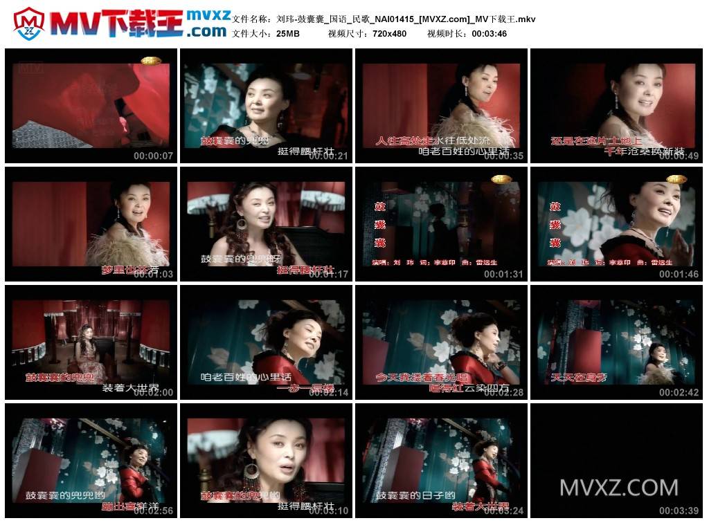 刘玮-鼓囊囊_国语_民歌_NAI01415